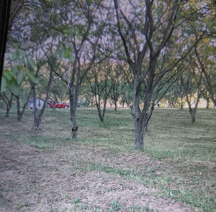 Na obroncima Fruske Gore 5ha zemlje u komadu-Bukovac