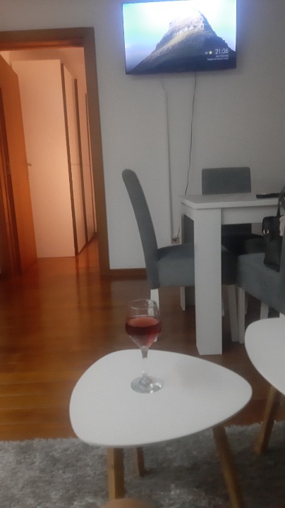 VRNJACKA BANJA IZDAVANJE APARTMANA