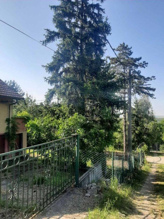 Brestovik-vikendica za renoviranje i vocnjak