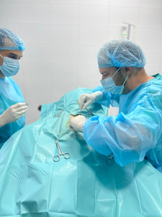 Dezurni veterinar Novi Sad 00-24h