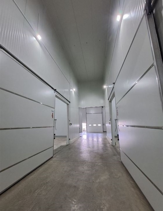 Hladnjača od 1000m2 Čačak-Viljuša