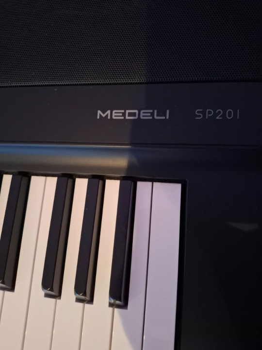Na prodaju električni klavir, MEDELI SP201 . 