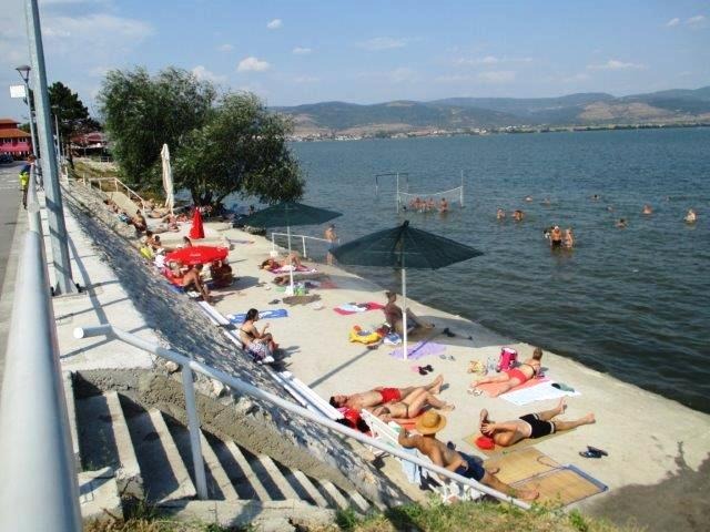 Odmor na Dunavu u borovoj šumi, povoljno