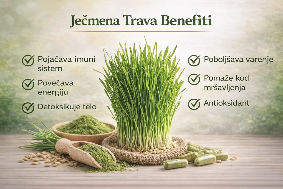 Barley Grass – Kesice