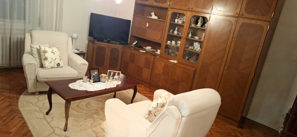 Ekskluzivno-salonski stan u Futoskoj